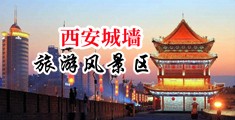 抠逼涩涩图中国陕西-西安城墙旅游风景区